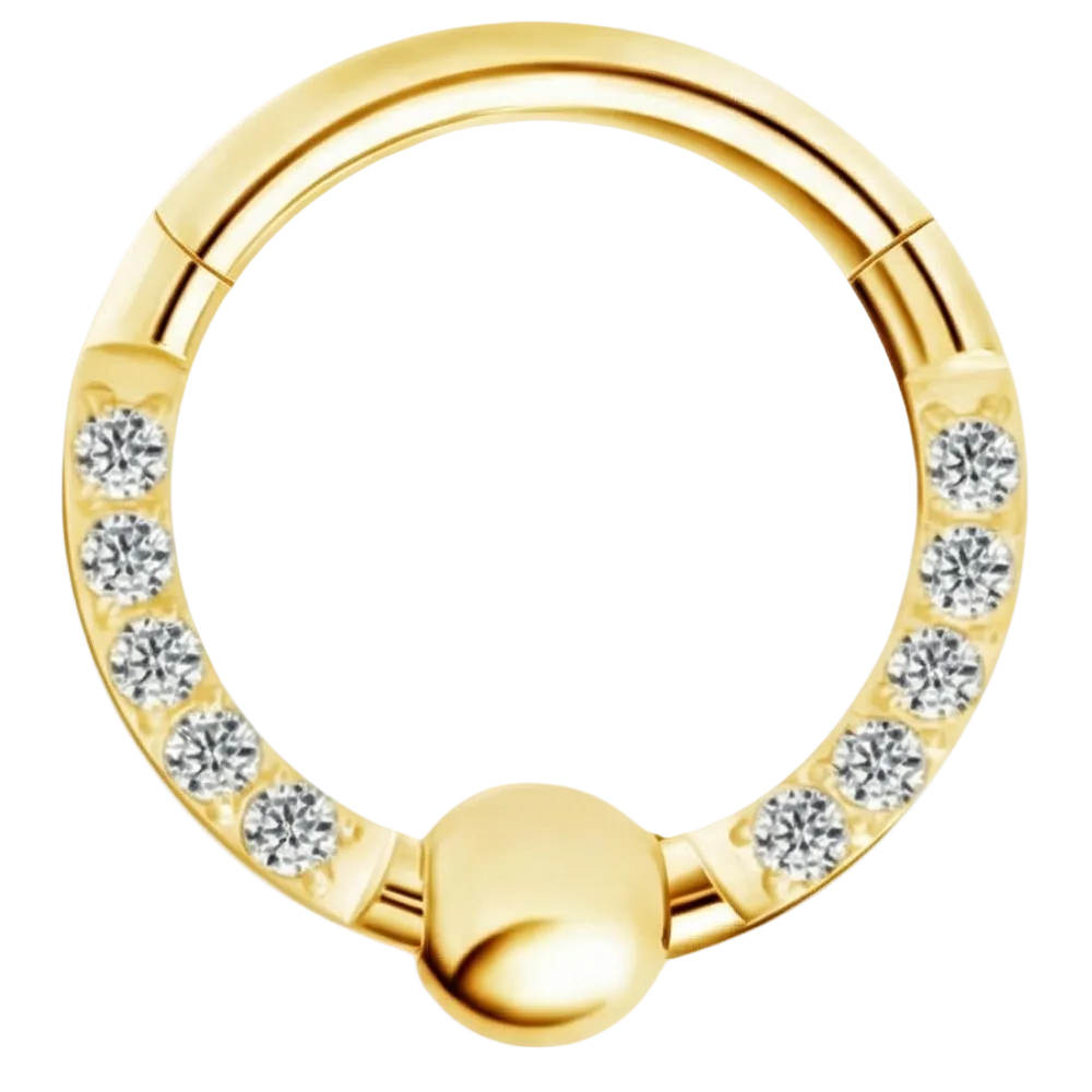 Titanium gesegmenteerde clicker met zirkonen en bal - cirkel - piercingplaneet