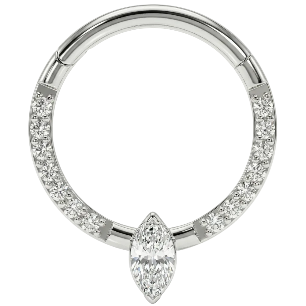 Titanium gesegmenteerde clicker met zirkonen en diamanten - cirkel - piercingplaneet
