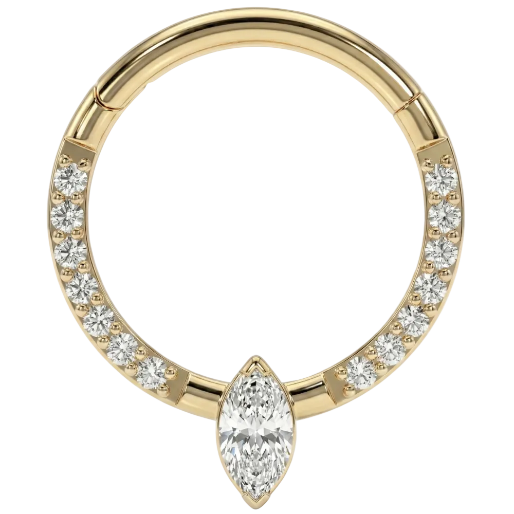 Titanium gesegmenteerde clicker met zirkonen en diamanten - cirkel - piercingplaneet