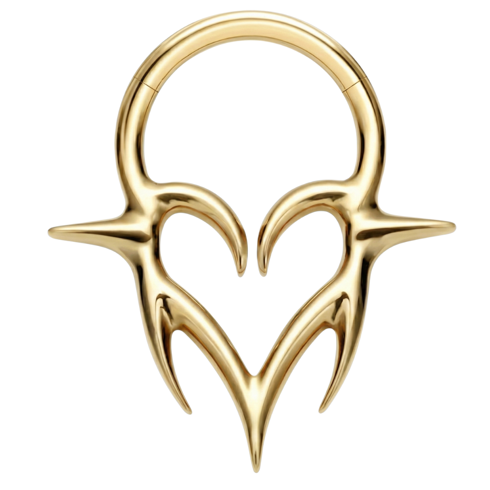 Titanium gesegmenteerde clicker - hart met spikes