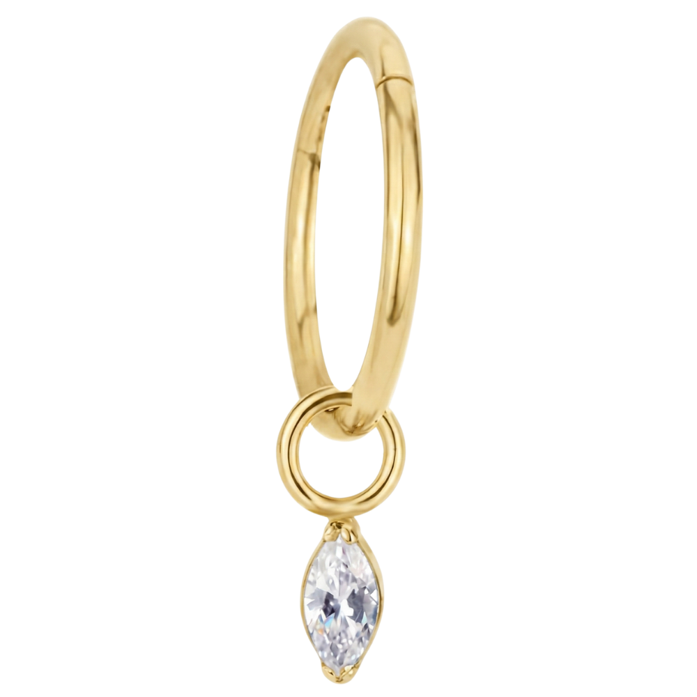 Titanium gesegmenteerde clicker met hanger van zirkonia - cirkel