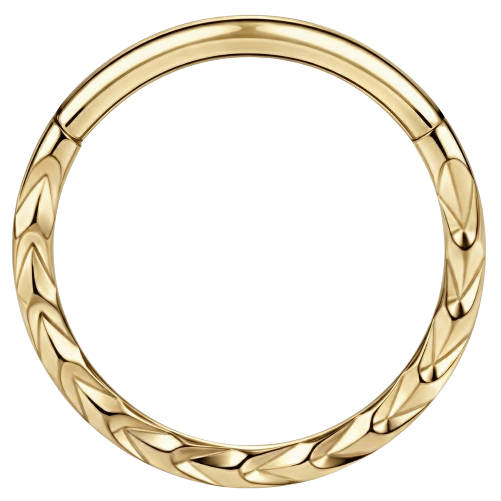 Titanium gesegmenteerde clicker, oor-cirkelstructuur