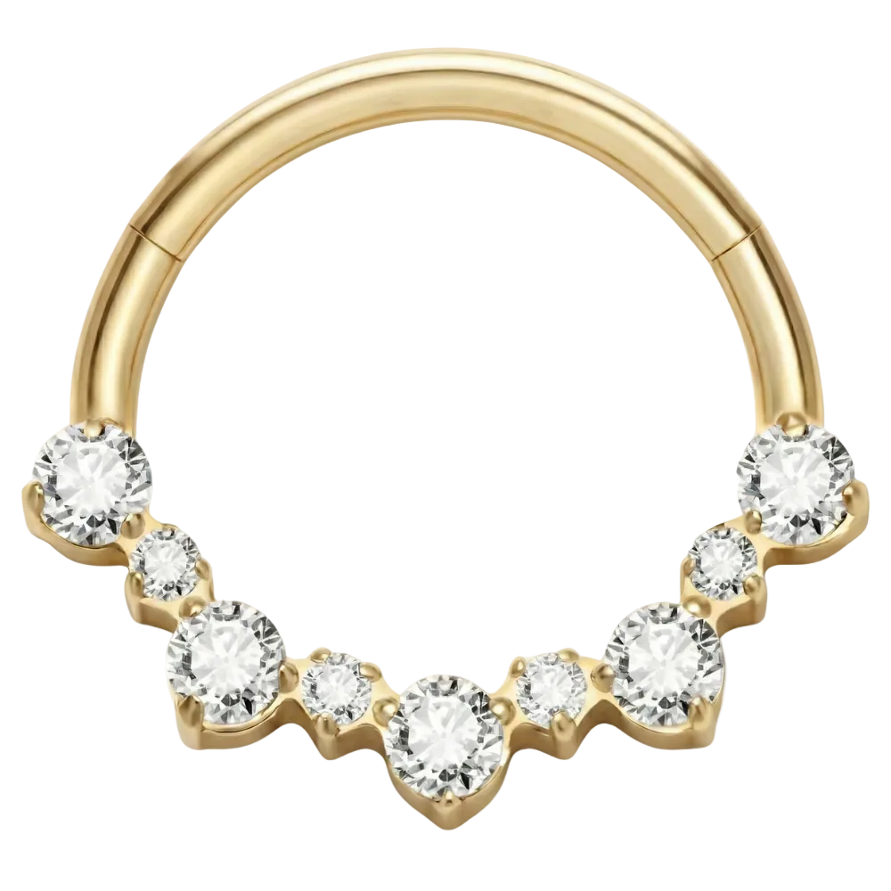 Titanium gesegmenteerde clicker met zirkonen en diamanten - strik - piercingplaneet