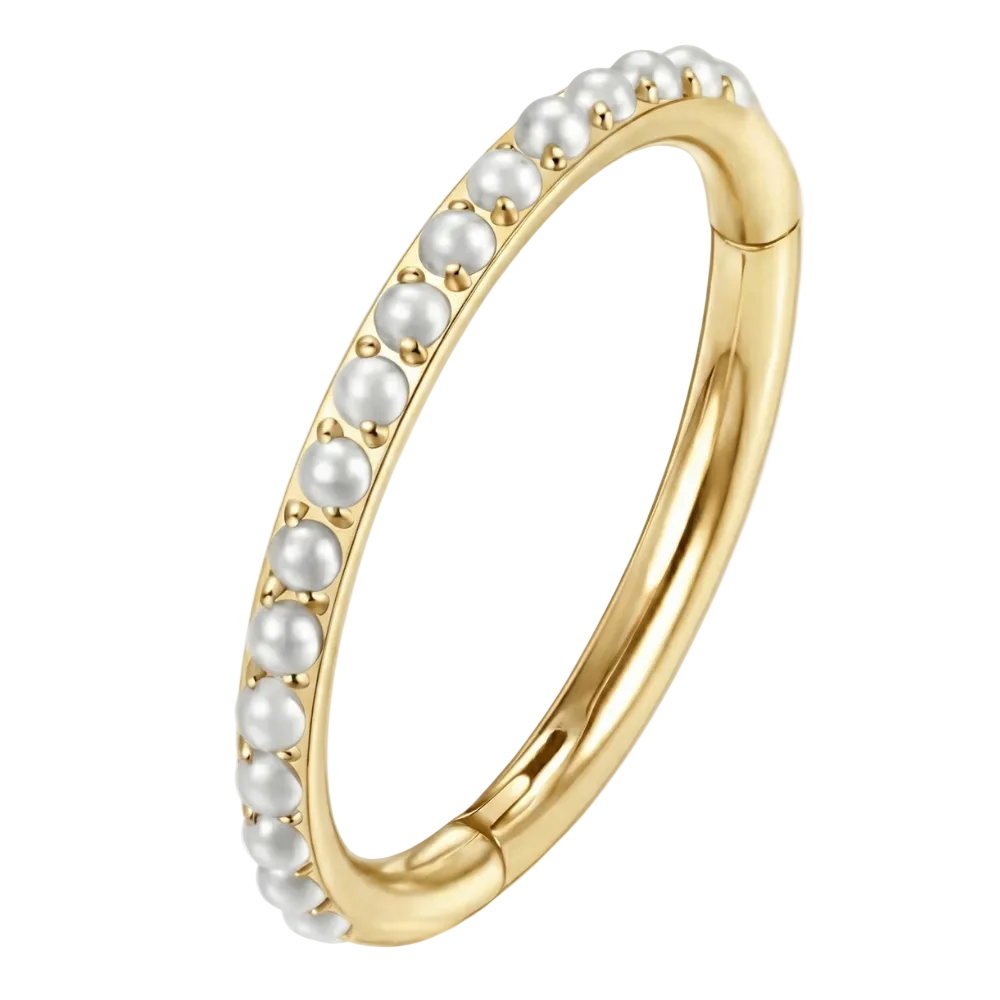 Titanium gesegmenteerde clicker met parels - cirkel - piercingplaneet