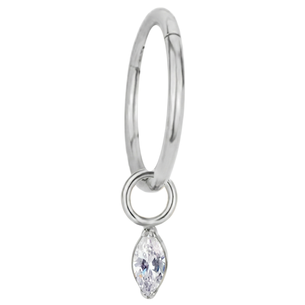 Titanium gesegmenteerde clicker met hanger van zirkonia - cirkel