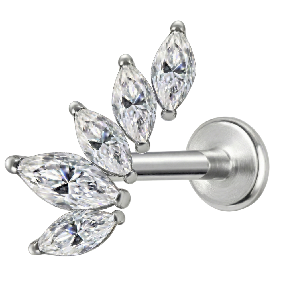 Titanium Decoratief Labret - Blad Met Zirkonia's