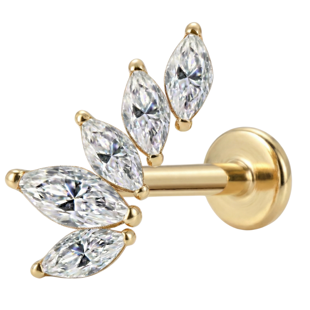 Titanium Decoratief Labret - Blad Met Zirkonia's