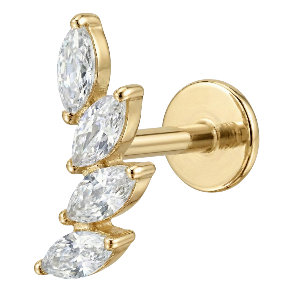 Titanium Decoratieve Labret - Takje Met Zirkonia's