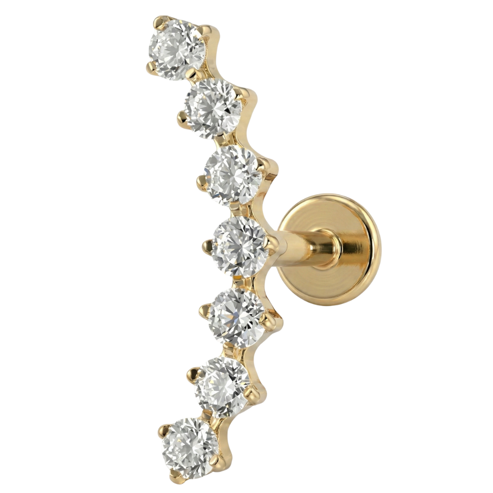 Titanium Decoratieve Labret - Grote Boog van Zirkonia