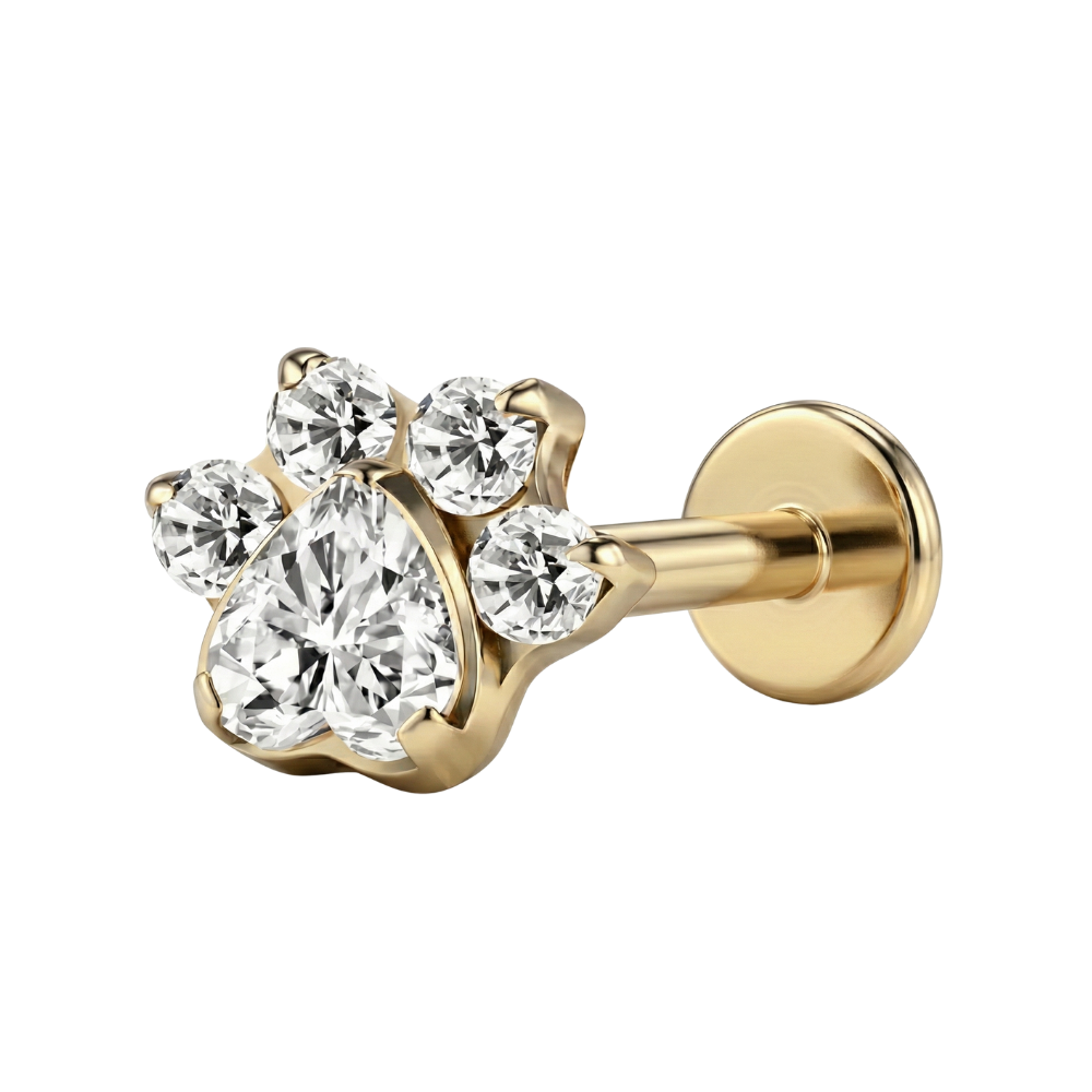 Titanium Decoratieve Labret - Poot Met Zirkonia's