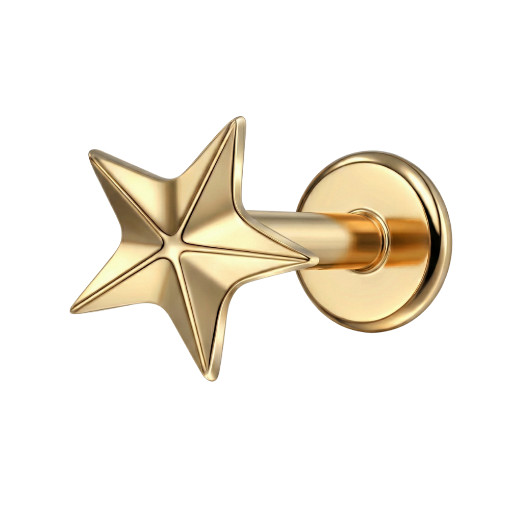 Titanium Decoratieve Labret - Ster