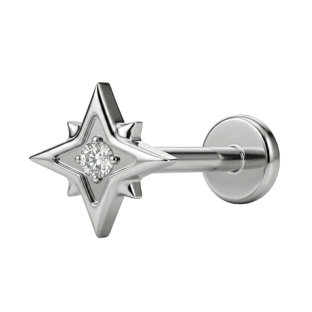 Titanium Decoratieve Labret - Ster Met Zirkonia