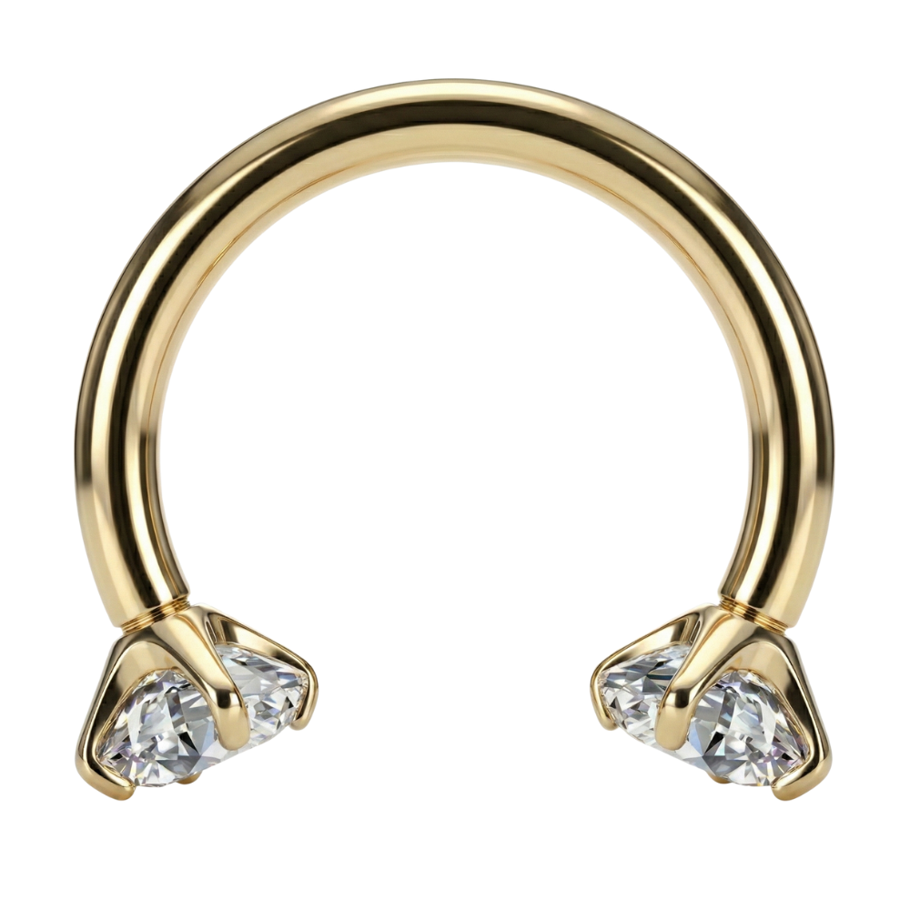 Titanium Decoratief Hoefijzer - Steentjes