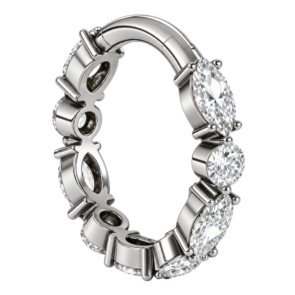 Piercing oorbel Titanium Clicker Segment Glanzende zirkonia hoepel
