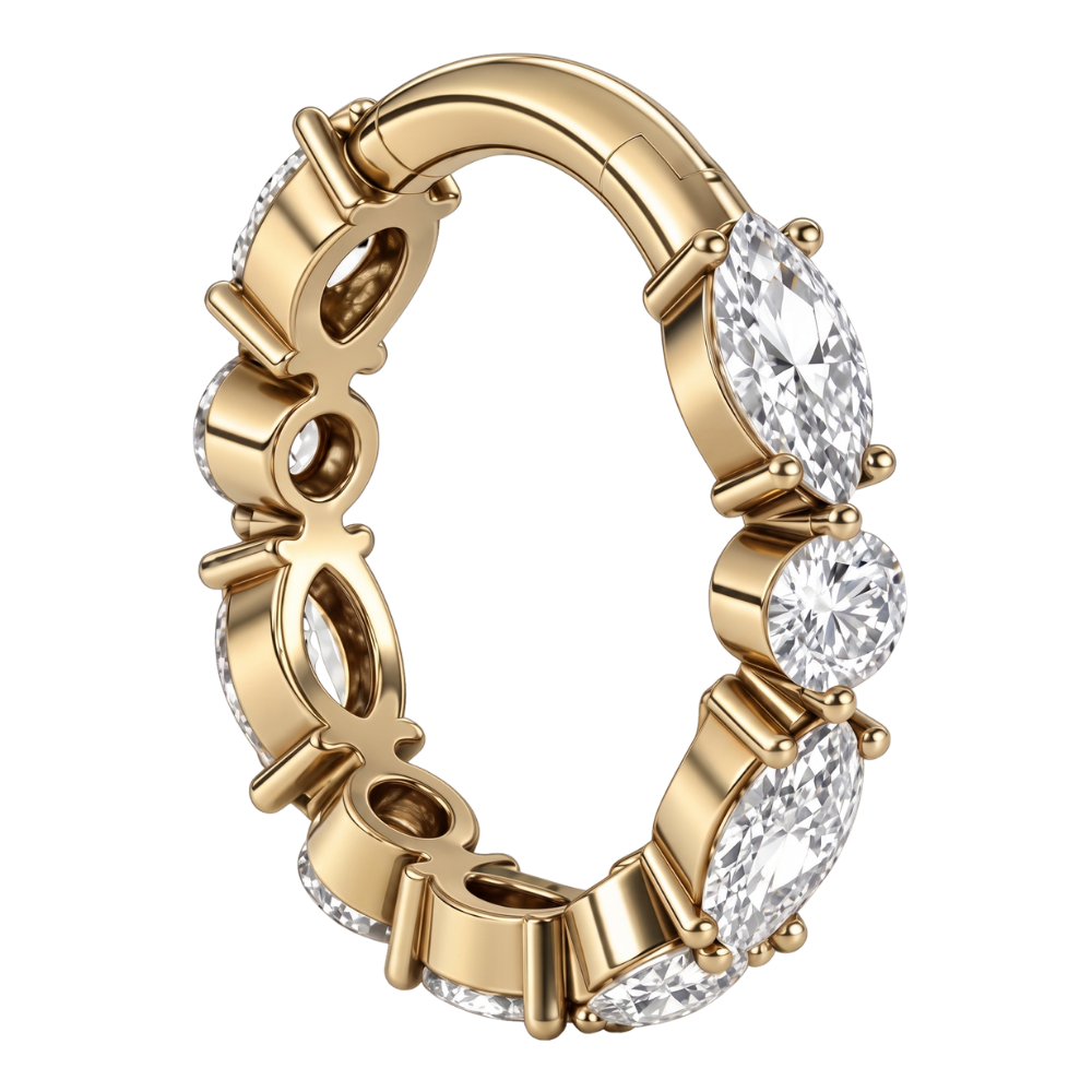 Piercing Oorbel Titanium Clicker Gesegmenteerde Glanzende Zirkonia Stud Goud