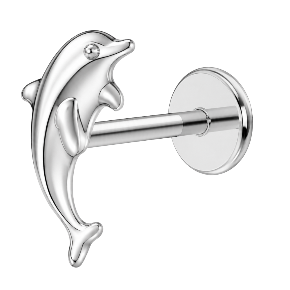 Tytanowy Labret Ozdobny Delfin