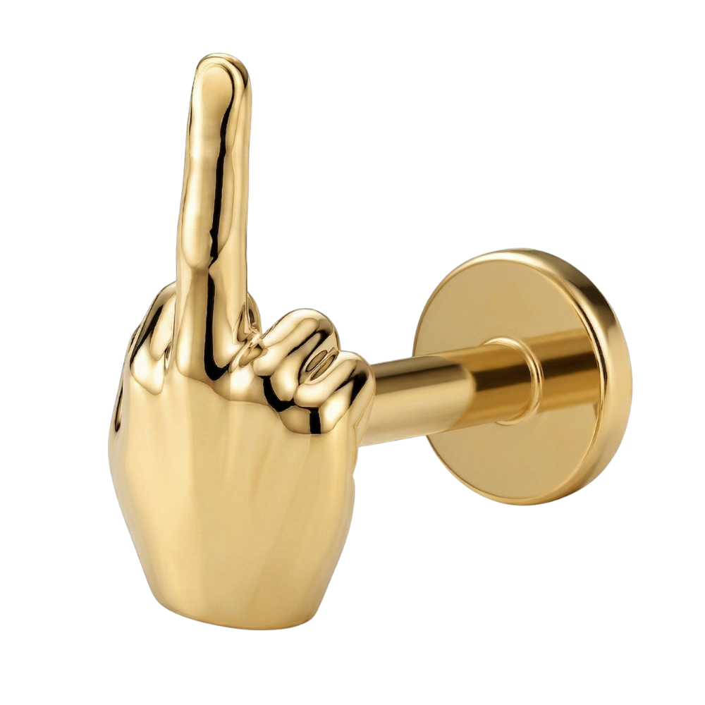 Titanium Decorative Labret - F**K You