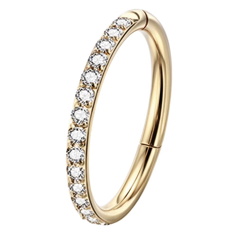 Steel Segment Clicker With Zircons - Circle