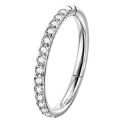 Steel Segment Clicker With Zircons - Circle