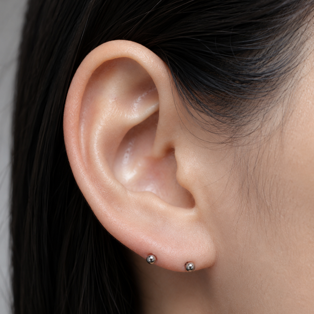 Transverse lobe